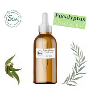 น้ำมันหอมระเหยยูคาลิปตัส - Eucalyptus Oil
