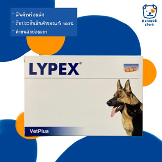 LYPEX อาหารเสริมบำรุงตับอ่อน สำหรับสุนัข/แมว (หมดอายุปี 03/2024)