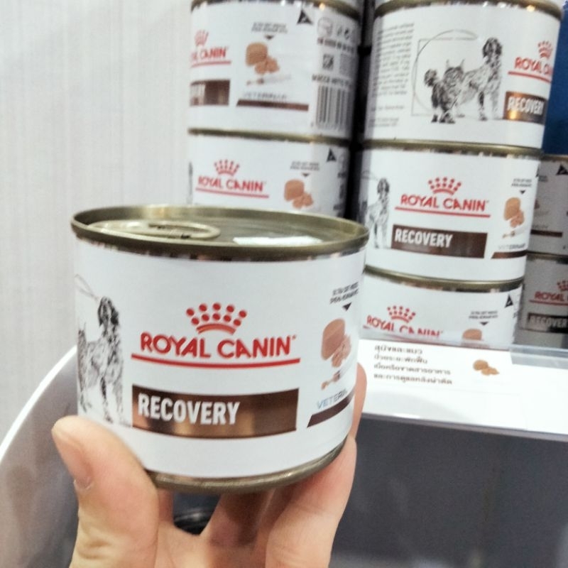 Royal Canin สูตร Recovery อาหารเพื่อการพักฟื้นสำหรับสัตว์ป่วย 195 กรัม.