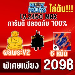 ไก่ตัน 6 หมัด พร้อมผลพระV2และมีโอกาสได้ดาบแรร์! BLOX FRUITS LEVEL 2450 (MAXED)ปลอดภัย ใช้มือฟาร์ม ไม่มีการใช้แฮ็ค