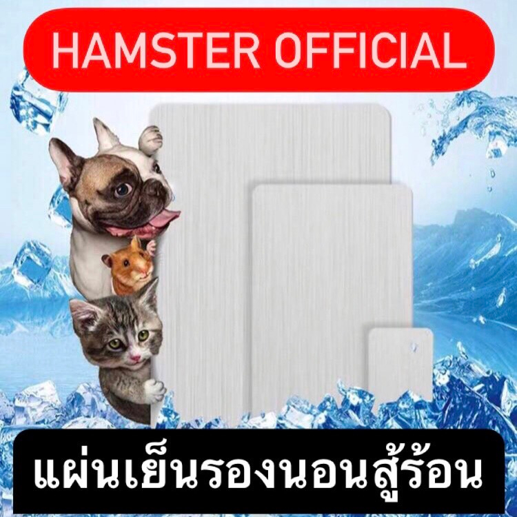 ร้านไทยส่งไว🥕แผ่นเย็นอลูมิเนียม ไซส์ใหญ่ คลายร้อน แฮมเตอร์ กระต่าย เม่น แผ่นระบายความร้อน hamster official cooling pad