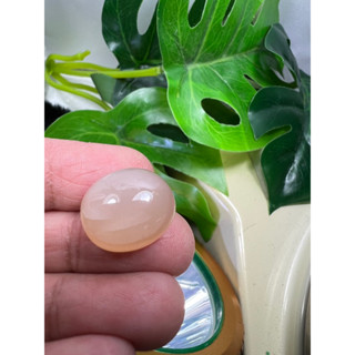 weight 16 carats Natural moonstone 15x17mm 1 pieces