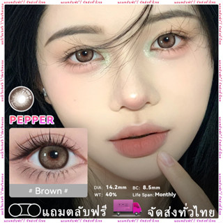 【New】Midroo🍭คอนแทคเลนส์ Papper Brown รายเดือน1คู่ Soft Contact Lenses🌷14.2mm