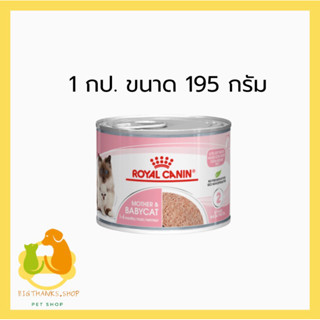 (( 1 กป.)) Royal Canin Mother &amp; Baby Cat 195 กรัม Exp.06/2024 อาหารกระป๋อง อาหารเปียก ชนิดมูสนิ่ม สำหรับลูกแมวและแม่แมว