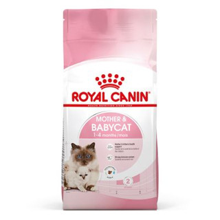 Royal Canin Baby Cat 1.2kg อาหารแมวสูตรลูกแมวและแม่แมว