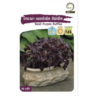 เมล็ดพันธุ์ โหระพา เพอร์เพิล รัฟเฟิล (Basil Purple Ruffles)