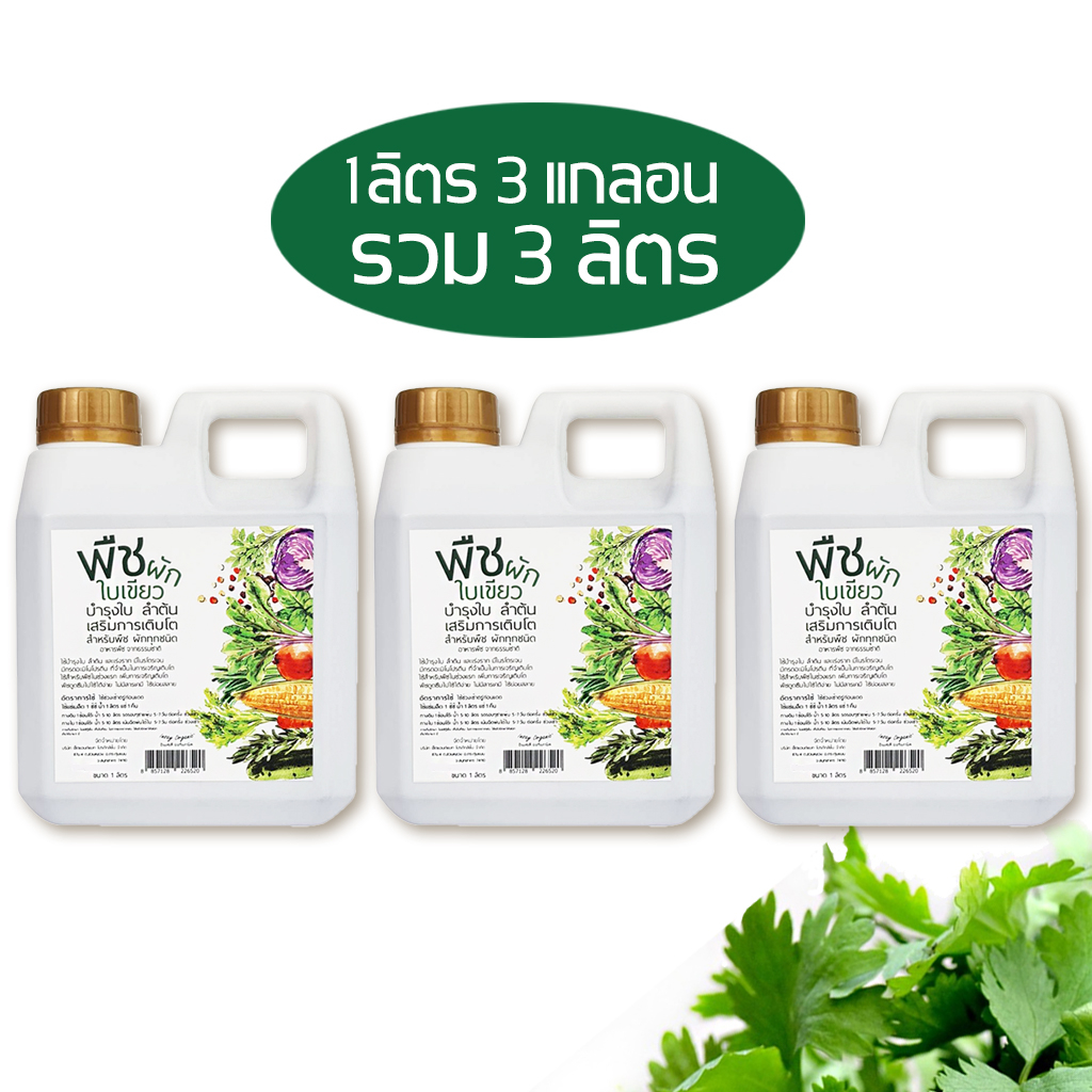 ปุ๋ยน้ำพืชผักใบเขียว สูตรออร์แกนิค บำรุงใบและลำต้น ใช้กับผัก ไม้ดอก ไม้ผล ไม้ประดับ  1 ลิตร  3 แกลอน