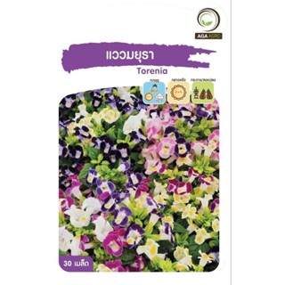 เมล็ดพันธุ์ ดอกไม้ แววมยุรา (Torenia)