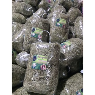 หญ้าแพ​งโกล่า​ ขนาดครึ่งกิโลกรัม​ และ1กิโลกรัม