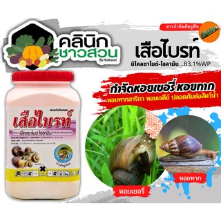 🥬 เสือไบร์ท (นิโคลซาไมด์-โอลามีน) บรรจุ 500กรัม กำจัดหอยเชอรี่ ในนาข้าว