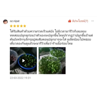 เมล็ดพันธุ์ ต้นอ่อน บลอคโคลี 5 กรัม (Broccoli Sprout)