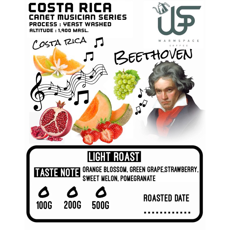 New!! Costa Rica Canet Musician Series Beethoven