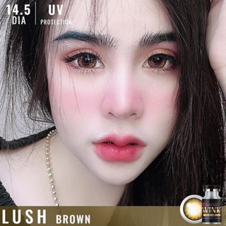 Lush Brown / Chestnut สีน้ำตาล น้ำตาล ทรีโทน โทนแบ๊ว ตาโต Wink Wow Contact Lens Bigeyes คอนแทคเลนส์ ค่าสายตา สายตาสั้น