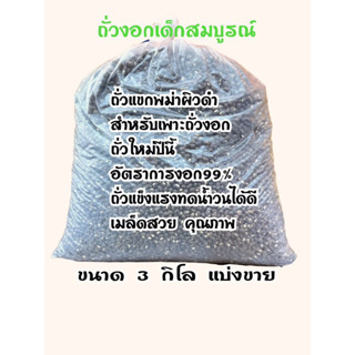 เมล็ดถั่วงอกถั่วแขก 3 โล ผิวดำเมล็ดถั่วปลูกถั่วงอกอัตราการงอกทางเราใช้ปลูกขายยี่หอนี้ใช้ประจำอัตราการปลูก95%