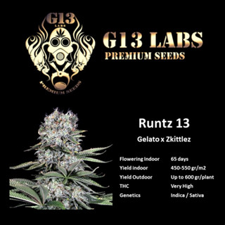 Runtz 13  -  G13 Labs