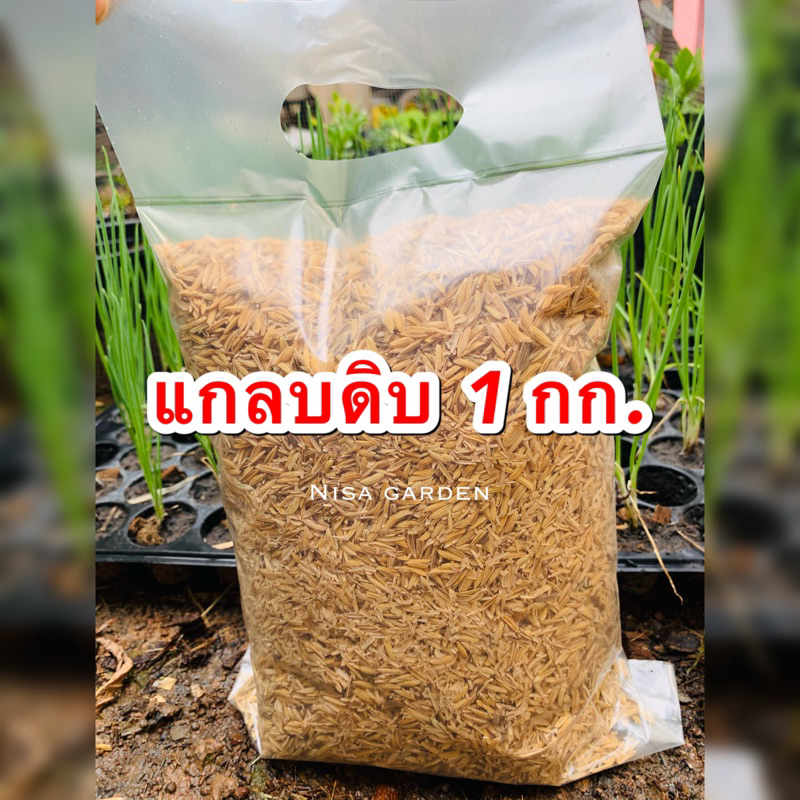 Nisa Garden แกลบดิบ แกลบใหม่ สะอาด แห้งสนิท บรรจุ 1 กก.