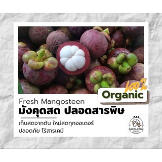 มังคุด สดจากต้น Organic 100%