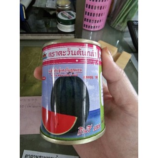 เมล็ดแตงโม กินรี 188 ขนาด 40 กรัม ต้านทานโรคพืชได้ดี