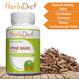 [ของแท้ ตรงปก] เปลือกสนสกัด รักษาฝ้า Pine Bark Extract 250mg Veg 60 Capsules 95% OPC Antioxidant Free Radical Protection