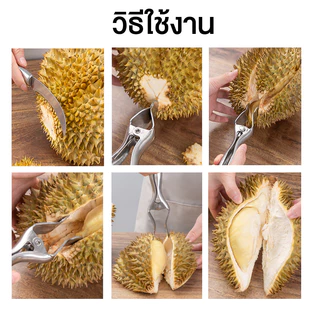 Marino Home ที่เปิดทุเรียน คีมปอกเปลือกทุเรียน สแตนเลส No.Y1575