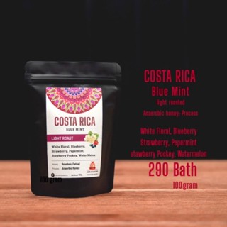 👉 DDAY 7.7กาแฟจาก Costa rica Bluemint fruity หอม pepermint light roast 100g 290bath