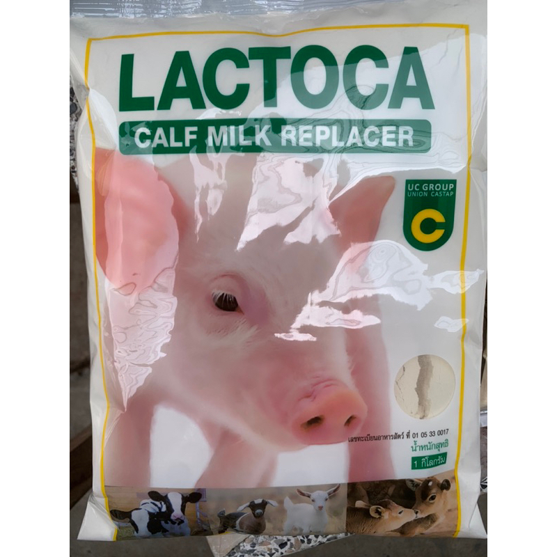 แลคโตคา  อาหารแทนนมสำหรับสัตว์ Lactoca นมลูกสัตว์