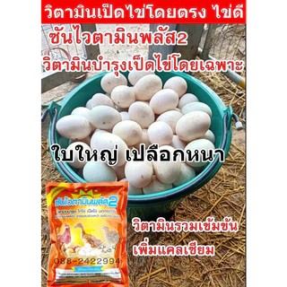 ซันไวตามินพลัส2(1ซองจำนวน1กิโล)บำรุงการออกไข่ของสัตว์โดยเฉพาะไก่ไข่,เป็ดไข่,นกกระทาไข่