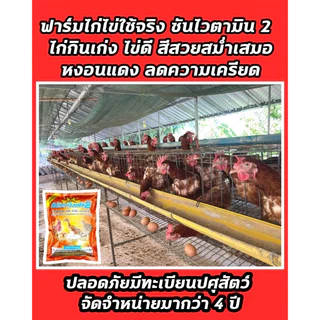 ซันไวตามินพลัส2(1ซองจำนวน1กิโล)บำรุงการออกไข่ของสัตว์โดยเฉพาะไก่ไข่,เป็ดไข่,นกกระทาไข่