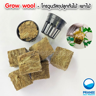grow wool - โกรวูล วัสดุปลุกต้นไม้น้ำ โกรวูล + กระถาง วัสดุปลูกต้นไม้ วัสดุเพาะต้นไม้ ขนาดประมาณ 2 นิ้ว