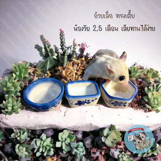 V ( ถ้วยครามจิ๋ว ) ถ้วยเซรามิก ถ้วยเซรามิค ถ้วยอาหาร ถ้วยนม ถ้วยน้ำ ถ้วยอาหารสัตว์เล็ก สัตว์เลี้ยง ถ้วยจิ๋ว ถ้วยชูการ์