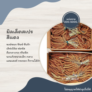 มิลเล็ตสเปร สีแดง - เหลือง (แบ่งขาย 200-500 g.)สำหรับนกแก้ว และ แฮมเตอร์