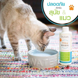 (ขวดเล็ก) Oxyfresh Dental Care Pet Water Additive 237 มล. น้ำยาดับกลิ่นปากสัตว์เลี้ยง ผสมน้ำดื่ม