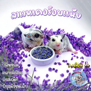 [ LAVENDER ] ลาเวนเดอร์ อบแห้ง ดอกลาเวนเดอร์ lavender ดอกไม้ ดอกไม้อบแห้ง ชา ดอกไม้กินได้ สัตว์เลี้ยง ชูการ์ แฮมสเตอร์