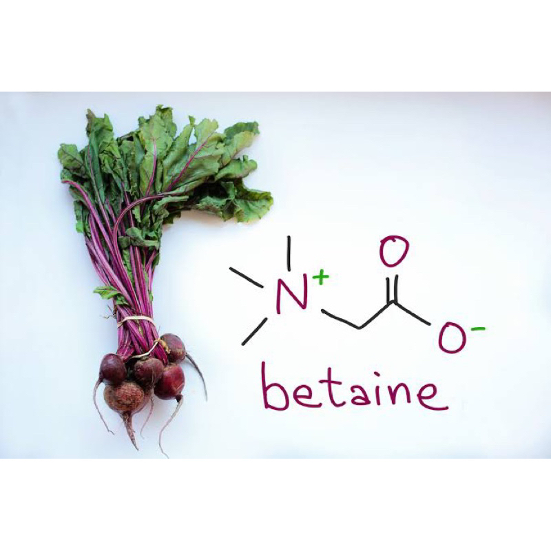 Aminocoat (Betaine) บีเทน Asahi kasei จากประเทศญี่ปุ่น ราคา ถูกที่สุด ดีลบีเคเค แกลเลอรีภาพที่ 2
