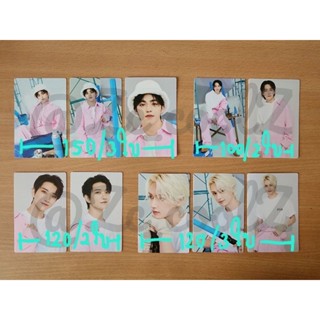 ✨️พร้อมส่ง✨️ Seventeen trading card carat land 2023