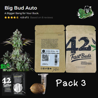 เมล็ดกัญชา Original Big Bud  (Auto) - Fastbuds แพ็ค3เมล็ด