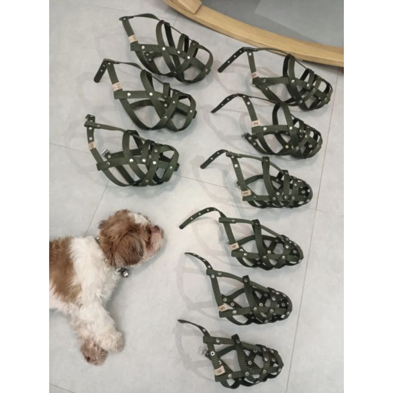 Buddy ตะกร้อครอบปากสุนัข ตะกร้อกันเห่ากันกัด เกรดพรีเมี่ยม - รูปที่ 3