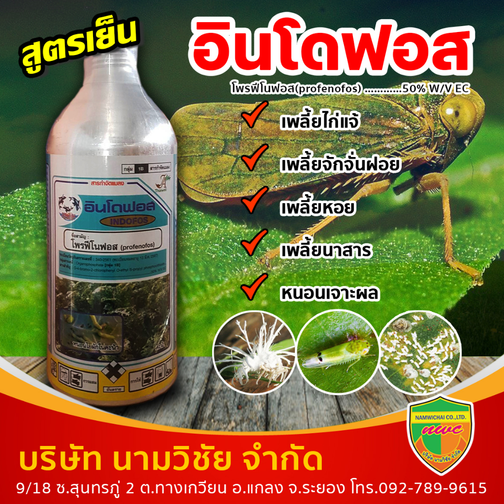 อินโดฟอส(โพรฟิโนฟอส) สูตรเย็น เพลี้ยกระจุย หนอนกระจาย กำจัดเพลี้ยไก่แจ้ เพลี้ยหอย เพลี้ยจักจั่นฝอย หนอนเจาะผล แมลงค่อม