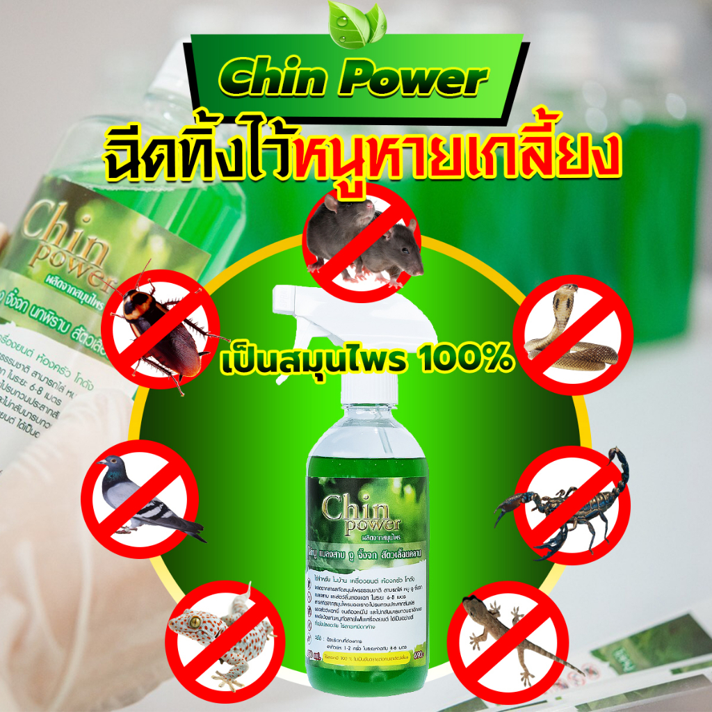 ไล่หนู ไล่นก แมลงสาบ จิ้งจก ตุ๊กแก งู สเปรย์ chin power ไปถาวร