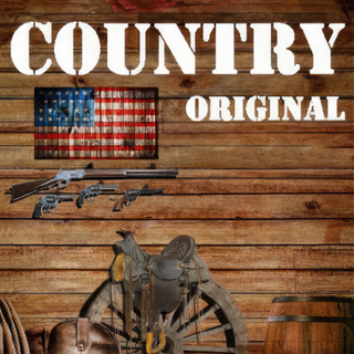 CD Audio คุณภาพสูง เพลงสากล COUNTRY ORIGINAL (ทำจากไฟล์ FLAC คุณภาพเท่าต้นฉบับ 100%)