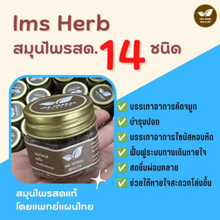 Ims Herb สมุนไพรสด 14 ชนิด // สมุนไพรหอม อิมเฮิร์บ ยาดม