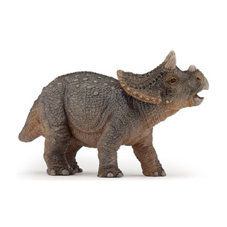 Papo : PPO55036* โมเดลไดโนเสาร์ Young Triceratops