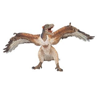 Papo : PPO55034*# โมเดลไดโนเสาร์ Archaeopteryx