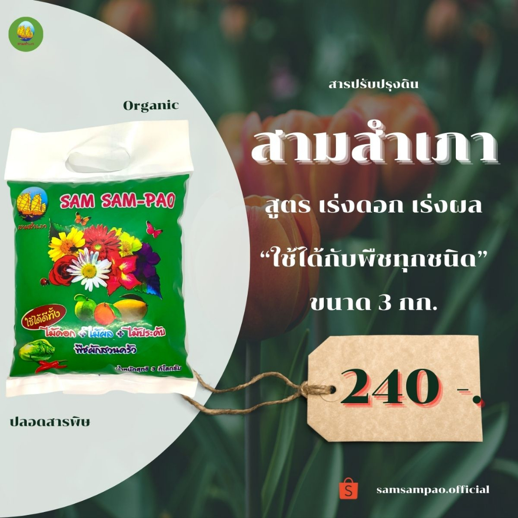 𝟑 𝐊𝐆 ❗️ "สามสำเภา" สูตรเร่งดอก เร่งผล ใช้ได้กับพืชผลทุกชนิด | สามสำเภา 𝐒𝐀𝐌 𝐒𝐀𝐌 𝐏𝐀𝐎
