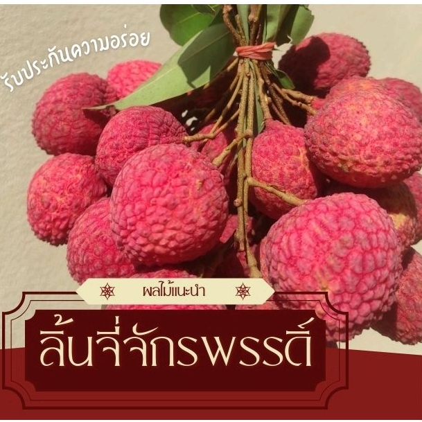 ลิ้นจี่ เซ็ตของฝากผลไม้เมืองฝาง ลิ้นจี่จักรพรรดิ์ อ.ฝาง จ.เชียงใหม่