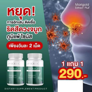 Prolec ผลิตภัณฑ์เสริมอาหาร บรรเทาอาการ เหนื่อย หอบ และภูมิแพ้ทุกอาการ (30 แค็ปซูล)