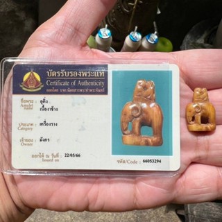 อุติ่งงาแกะเก่า พร้อมบัตรสมาคม