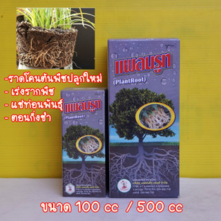 ยาเร่งราก แพลนรูท เร่งราก แตกรากฝอย ขนาด 100cc /500 ซีซี ไม้ดอก แคดตัส ไม้ใบ พืชทุกชนิด ใช้คู่กับไฮโทนิค เห็นผลดีมาก