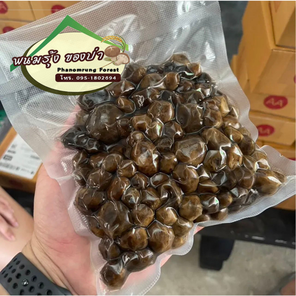 🍄เห็ดเผาะหนัง🍄เห็ดป่าแท้ธรรมชาติ ใหม่ไม่ค้างปี หาทานยาก เป็นเห็ดหนังกลางฤดูถนอมไว้ต้มสุกแล้ว