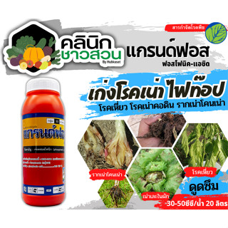 🥬 แกรนด์ฟอส (ฟอสโฟนิก-แอซิด) บรรจุ 1ลิตร ป้องกันเชื้อรา รากเน่าโคนเน่า ไฟท๊อปเทอร่า